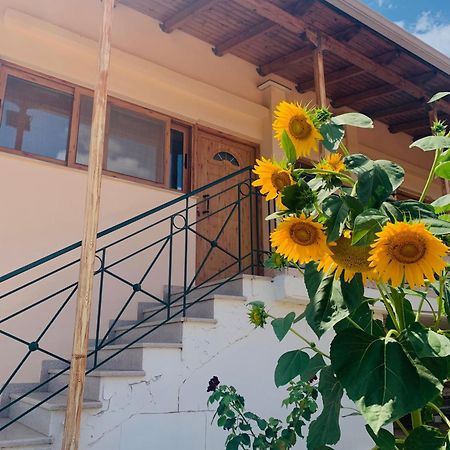 Bokas Exotic House Appartement Tragana  Buitenkant foto