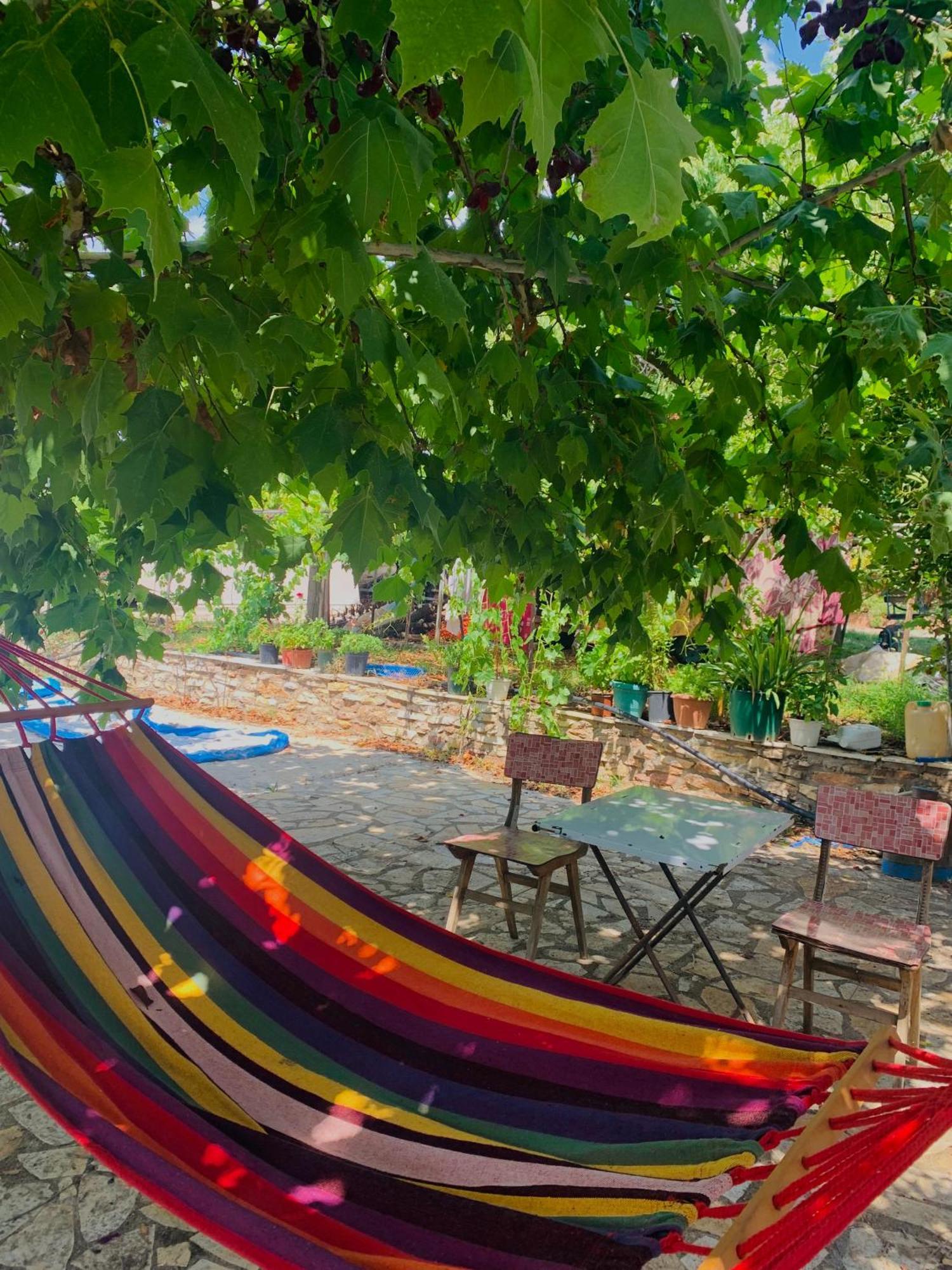 Bokas Exotic House Appartement Tragana  Buitenkant foto